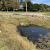 Weed, Algae & Silt Choked Ponds and Ditches