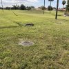 Derelict Utilities