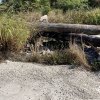 Dumping on FP&L Right of Way