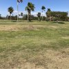 Stump Removal Needed